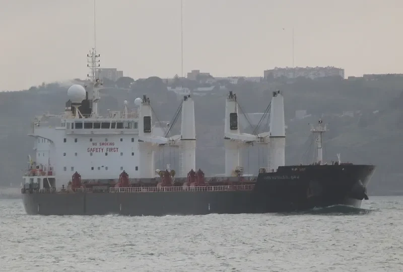 STRADION Bulk Carrier IMO 9522922 photo 9