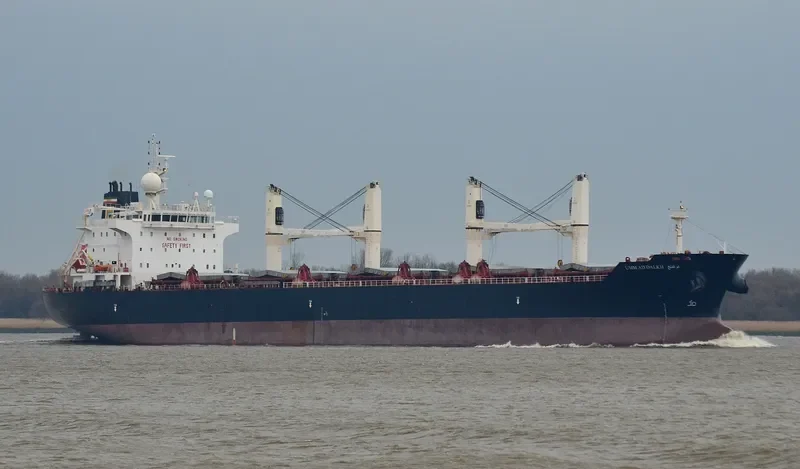 STRADION Bulk Carrier IMO 9522922 photo 10
