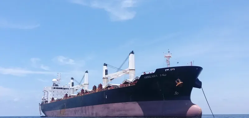 ARRILAH I Bulk Carrier IMO 9522934 photo 3