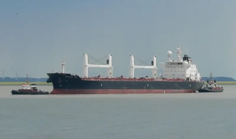 ARRILAH I Bulk Carrier IMO 9522934 photo 9