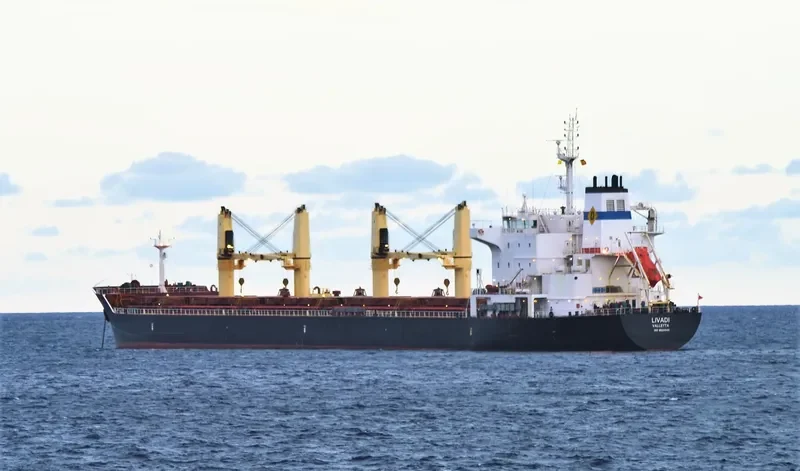 LIVADI Bulk Carrier IMO 9522946 photo 2