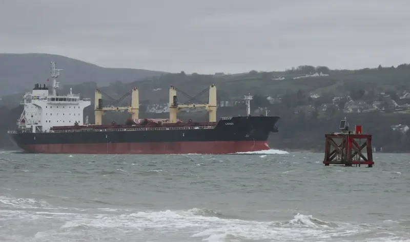 LIVADI Bulk Carrier IMO 9522946 photo 7