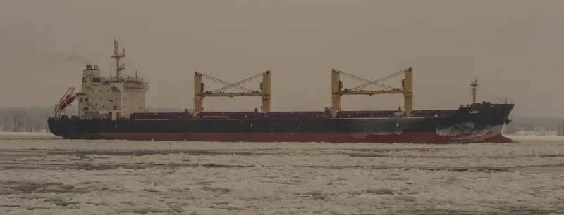 LOZA Bulk Carrier IMO 9522958