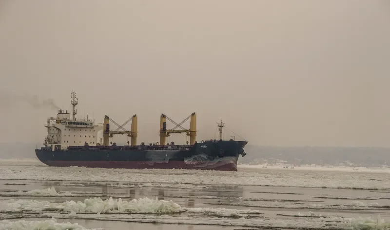 LOZA Bulk Carrier IMO 9522958 photo 2