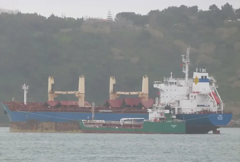 LOZA Bulk Carrier IMO 9522958 photo 5