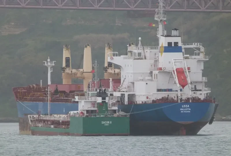 LOZA Bulk Carrier IMO 9522958 photo 6