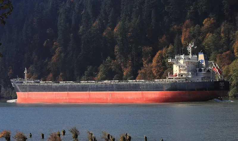 CUI PING FENG Bulk Carrier IMO 9523172