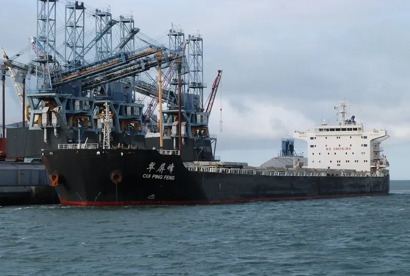 CUI PING FENG Bulk Carrier IMO 9523172 photo 2