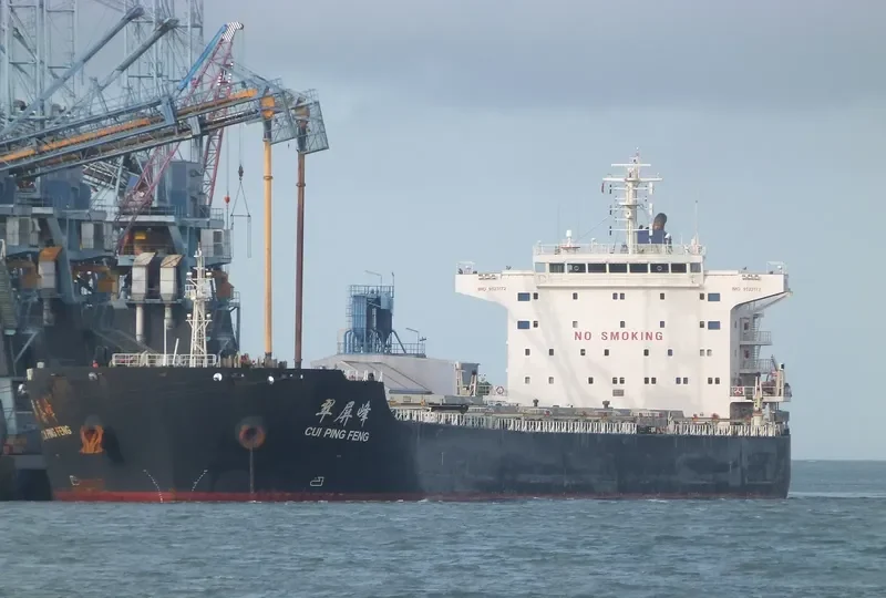 CUI PING FENG Bulk Carrier IMO 9523172 photo 3