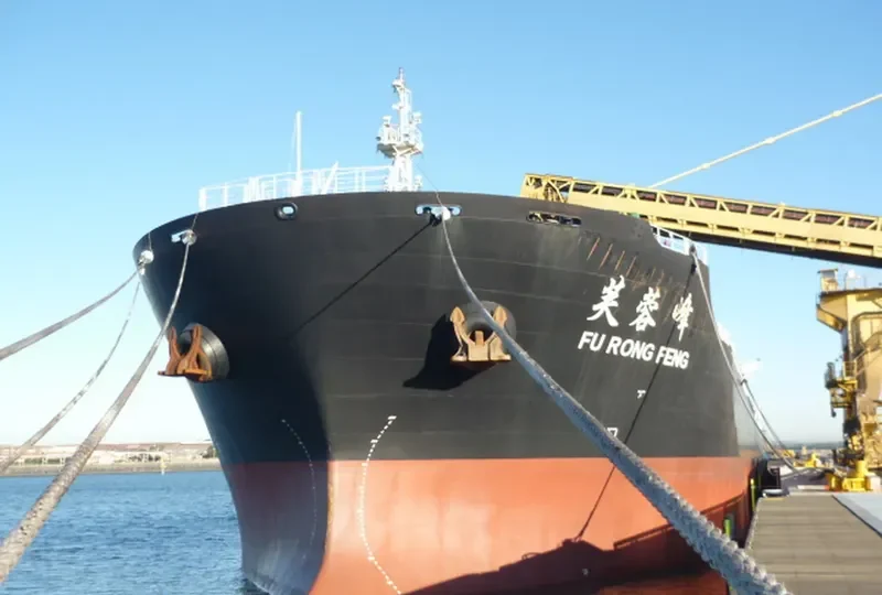 FU RONG FENG Bulk Carrier IMO 9523184 photo 2