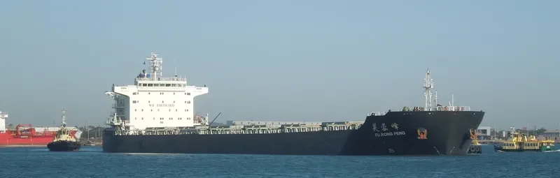 FU RONG FENG Bulk Carrier IMO 9523184 photo 6
