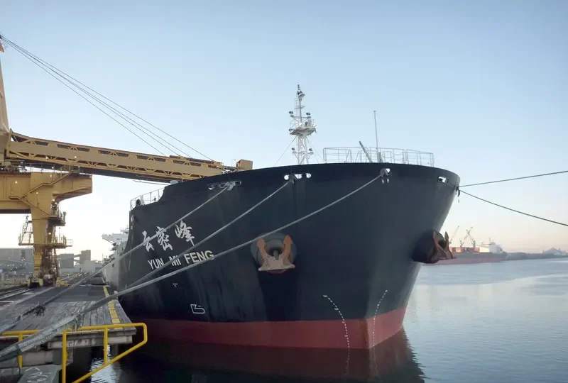 YUN MI FENG Bulk Carrier IMO 9523196