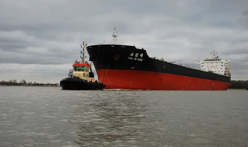 YUN MI FENG Bulk Carrier IMO 9523196 photo 3