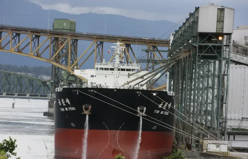 YUN MI FENG Bulk Carrier IMO 9523196 photo 5