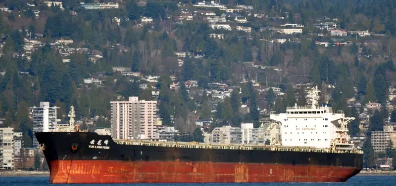 YUN LONG FENG Bulk Carrier IMO 9523201