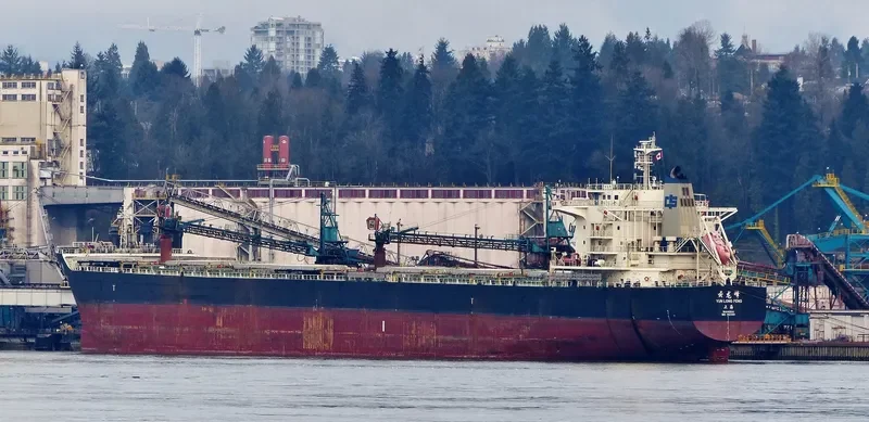 YUN LONG FENG Bulk Carrier IMO 9523201 photo 3