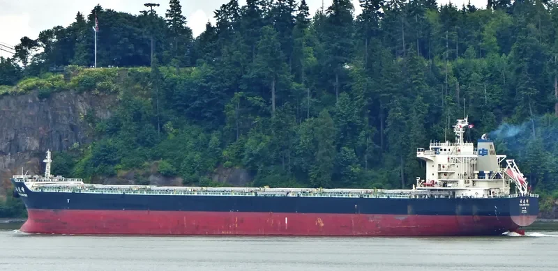 YUN LONG FENG Bulk Carrier IMO 9523201 photo 7