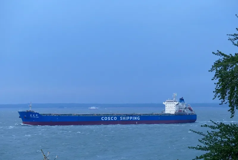 YUN LONG FENG Bulk Carrier IMO 9523201 photo 9