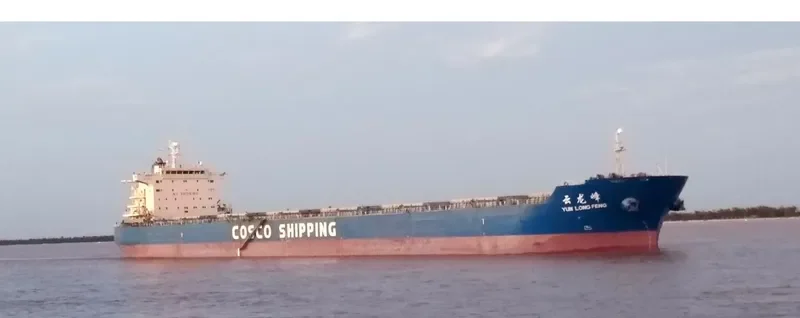 YUN LONG FENG Bulk Carrier IMO 9523201 photo 10