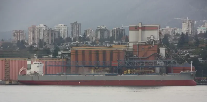STAR AMETHYST Bulk Carrier IMO 9523251 photo 10