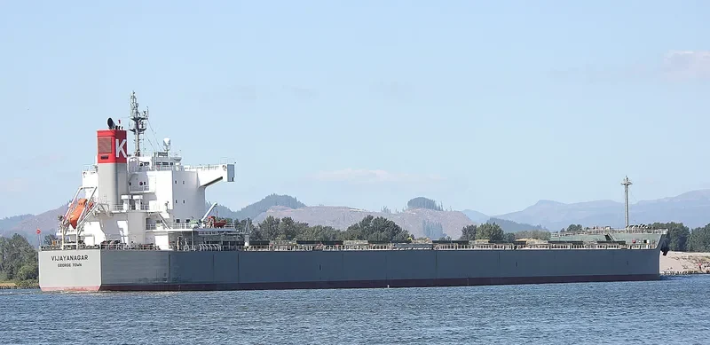 OINOUSSIAN VIGOUR Bulk Carrier IMO 9523263 photo 2