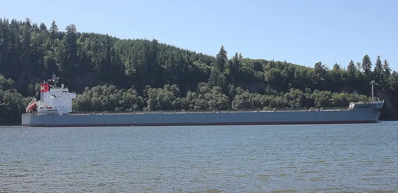 OINOUSSIAN VIGOUR Bulk Carrier IMO 9523263 photo 3