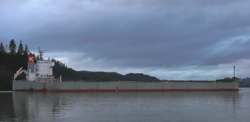 OINOUSSIAN VIGOUR Bulk Carrier IMO 9523263 photo 7