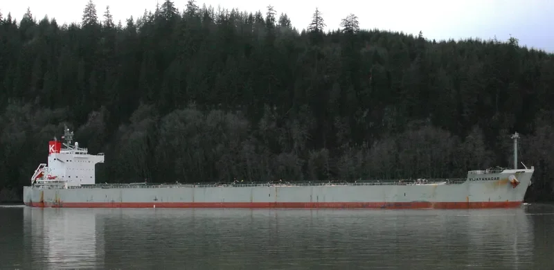 OINOUSSIAN VIGOUR Bulk Carrier IMO 9523263 photo 8