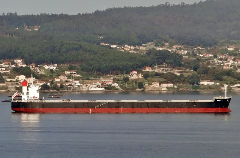 JUNE LOONG Bulk Carrier IMO 9523299 photo 4