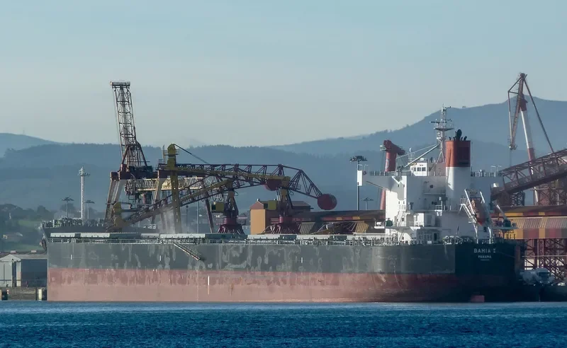 JUNE LOONG Bulk Carrier IMO 9523299 photo 6