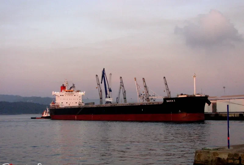 JUNE LOONG Bulk Carrier IMO 9523299 photo 7