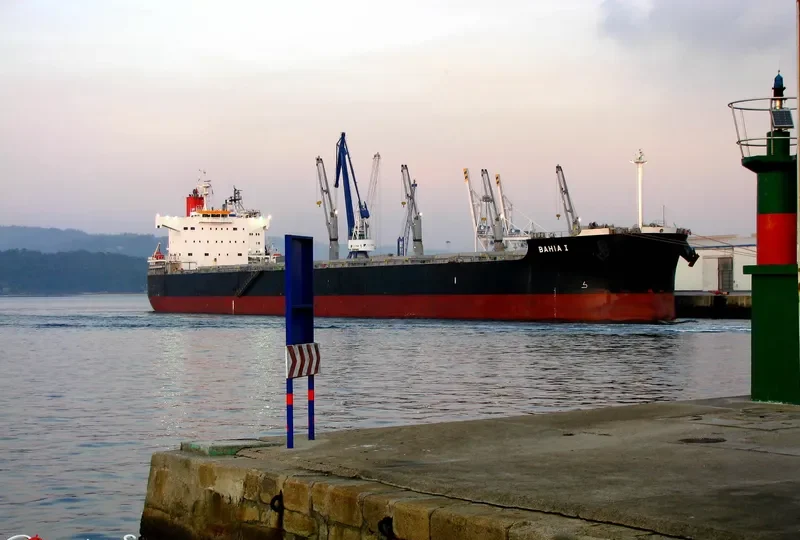 JUNE LOONG Bulk Carrier IMO 9523299 photo 8
