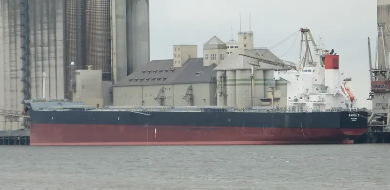 JUNE LOONG Bulk Carrier IMO 9523299 photo 9