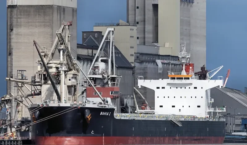 JUNE LOONG Bulk Carrier IMO 9523299 photo 10