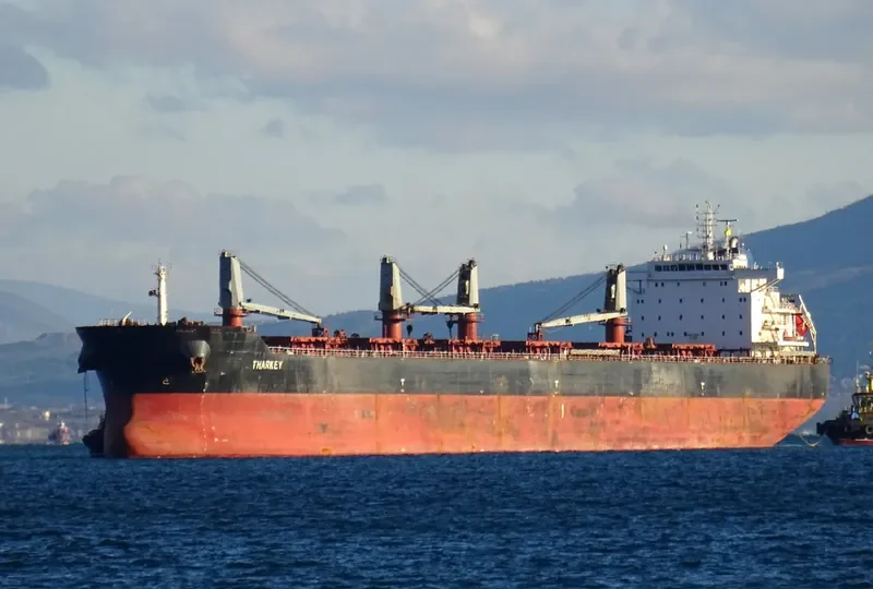 LEGEND I Bulk Carrier IMO 9523483 photo 2