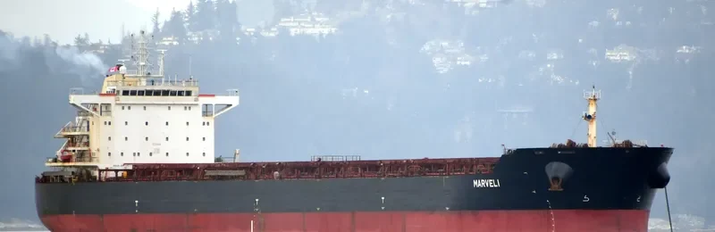 MARVEL I Bulk Carrier IMO 9523495 photo 6
