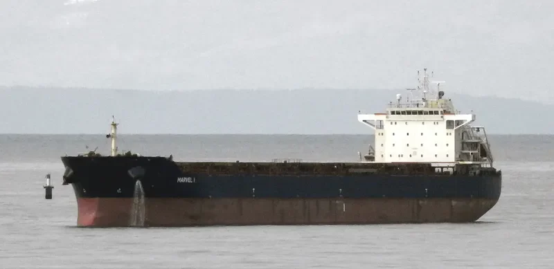 MARVEL I Bulk Carrier IMO 9523495 photo 7