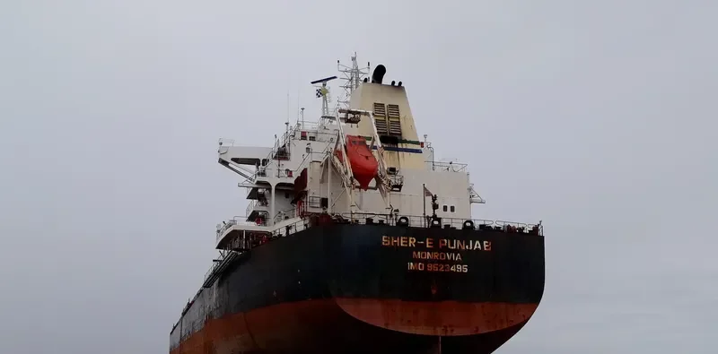MARVEL I Bulk Carrier IMO 9523495 photo 10