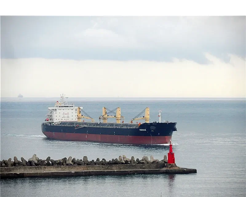 IZABELLA M Bulk Carrier IMO 9523500 photo 4