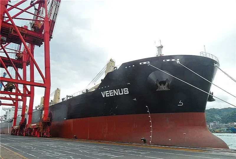 IZABELLA M Bulk Carrier IMO 9523500 photo 8