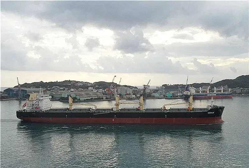 IZABELLA M Bulk Carrier IMO 9523500 photo 9