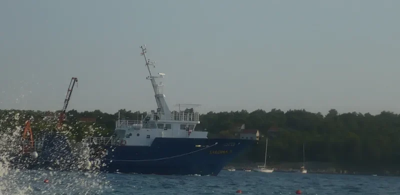 SARDINA II General Cargo IMO 9523524 photo 5