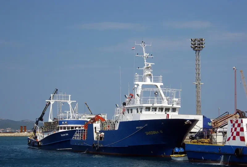 SARDINA II General Cargo IMO 9523524 photo 9