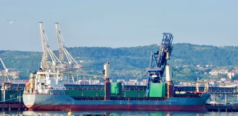 VICTORIA General Cargo IMO 9523926 photo 2