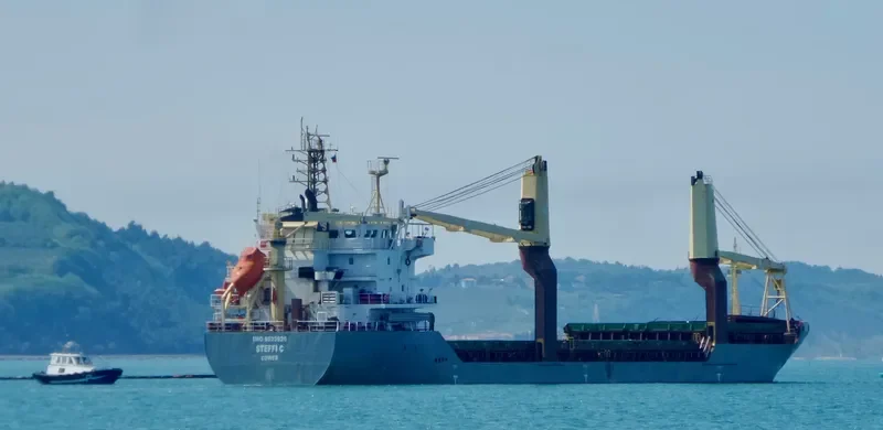 VICTORIA General Cargo IMO 9523926 photo 3