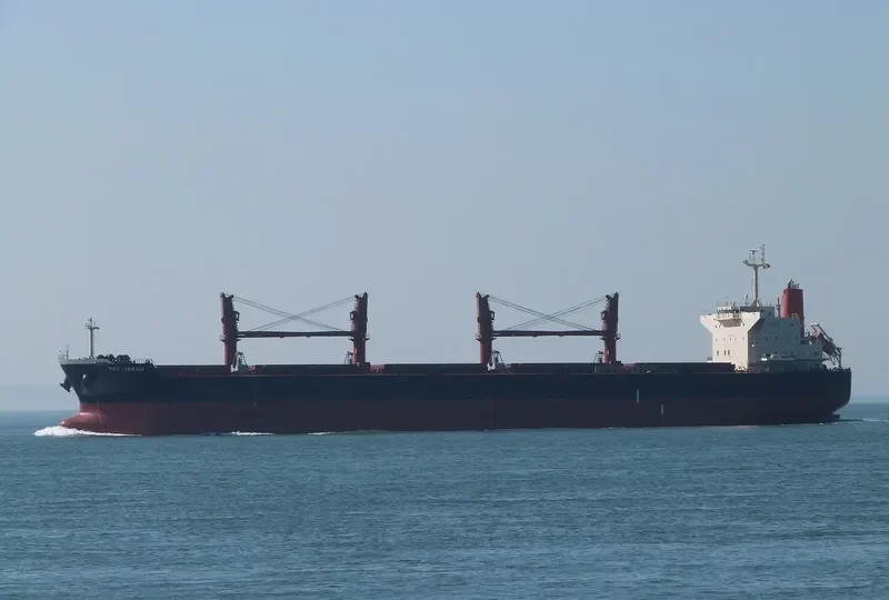 PRT DREAM Bulk Carrier IMO 9524011