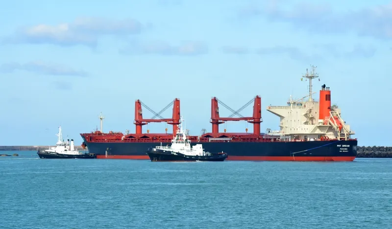 PRT DREAM Bulk Carrier IMO 9524011 photo 8