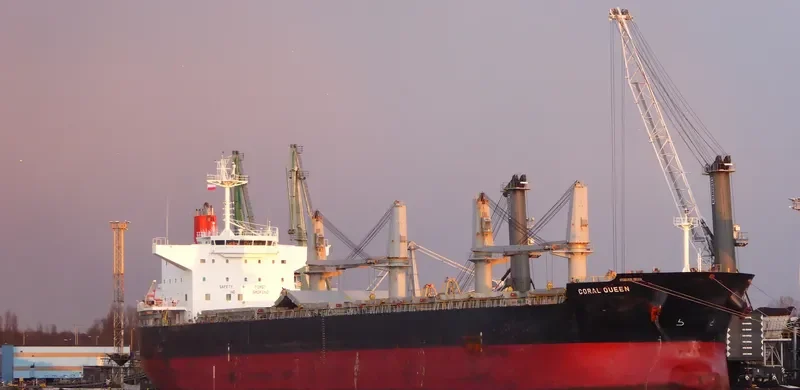 CORAL QUEEN Bulk Carrier IMO 9524023 photo 3