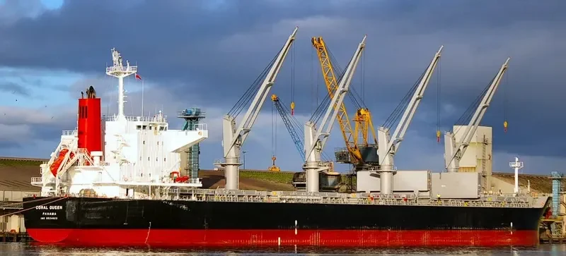 CORAL QUEEN Bulk Carrier IMO 9524023 photo 8