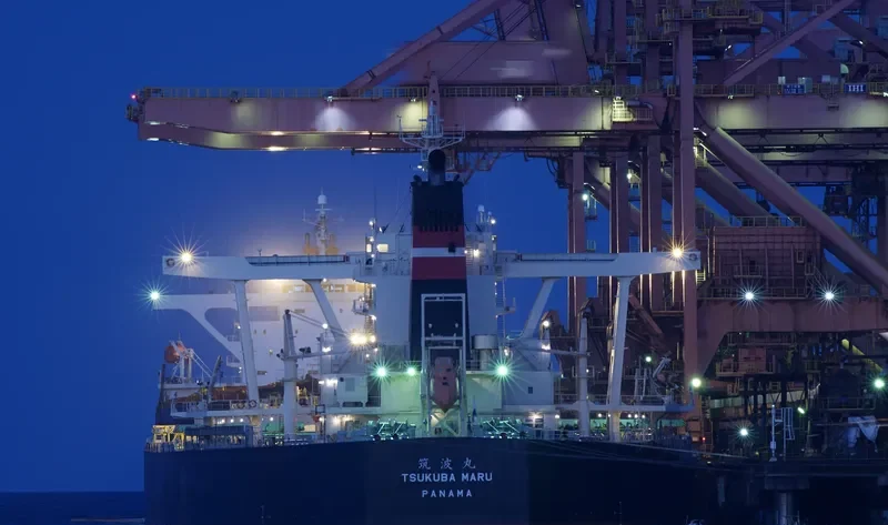 TSUKUBA MARU Bulk Carrier IMO 9524035 photo 3